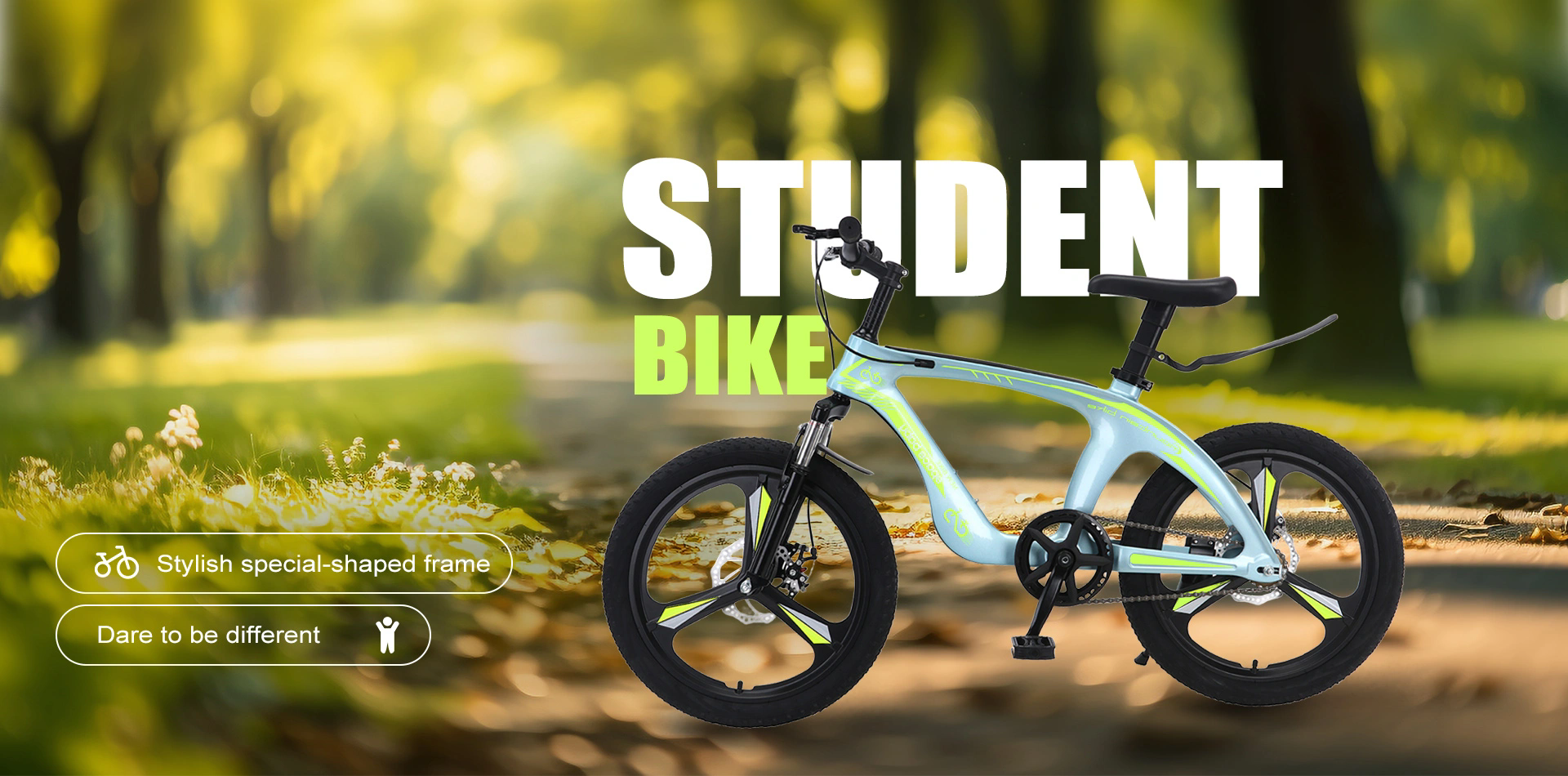 Skyking Bicycle Techonlogy Co.,Ltd